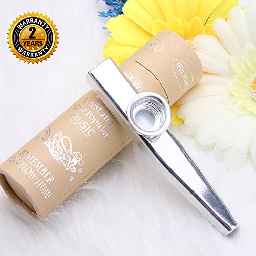 Oibtech - Kazoo, metallo argentato con 5 membrane per flauto, strumenti musicali Kazoo, Kazoo Silver