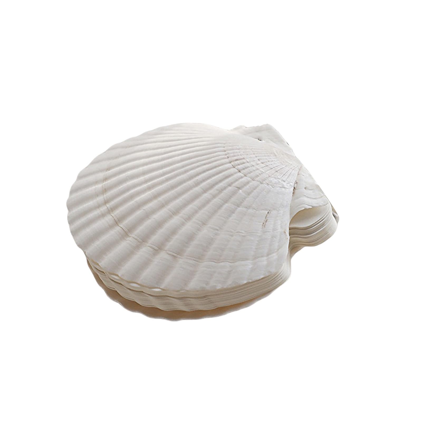 Tsophreniq Reflliable Notebook Natural Shell Shape Binder Planner Journal Notepads for Creative Minds and Nature Styles Writing Shell Planner