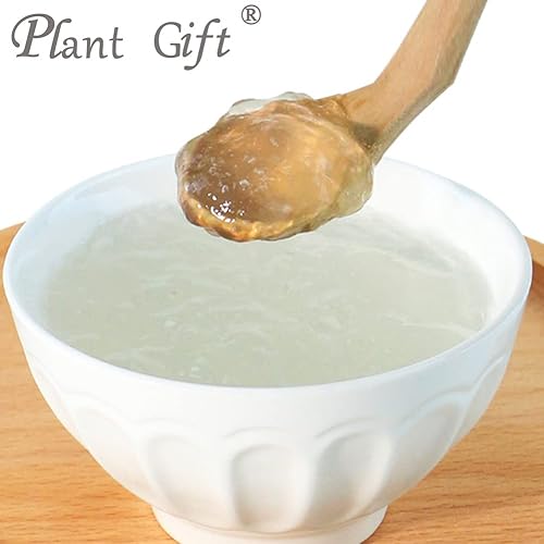 Miniatura 3 de Plant Gift Polvo de Konjak 100% puro, harina de Konjak natural, gran sabor para bebidas, añade sabor y sabor en polvo sin OMG, sin relleno, sin