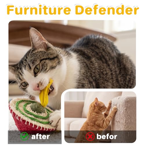 Jouet d'enrichissement durable pour chat Walfront en matériaux haute résistance