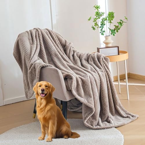 ѕz |ѕz ~pVO 45 x 150 cm _炩Gӂӂ탂RR₦΍􂦂邨ÓdCh~gQp\t@[, J[LF