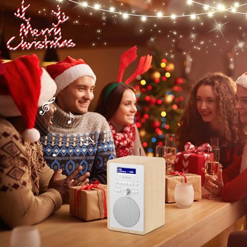 LEMEGA Radio digital CR2+ DAB/DAB+, radio digital FM, alimentación de radio DAB, reloj de alarma dual, temporizador de repetición de sueño de cocina, efecto madera, acabado de roble blanco - imagen 6