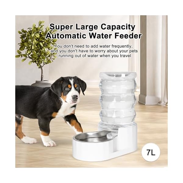 Rizzari automatic 7l pet waterergravity stainless steel water dispenser 100 bpa free large capacity water feeder for cats and medium and large sized dogs white7l  urban country home decor