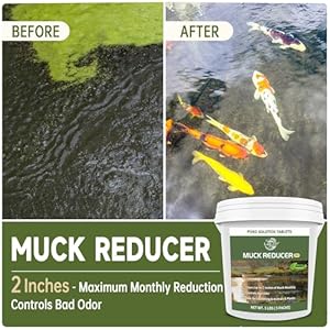 Muck Reducer - 5LB Natural Sludge Solution Tablets for Ponds & Lakes, Away Muck & Odor Control, Safe for Aquatic Life, Wildlife & Recreation, Treats Up to 30,000 Sq Ft Muck Reducer 5LB Natural Sludge Solution Tablets for Ponds Lakes Away Muck Odor Control Safe for Aquatic Life Wildlife Recreation Treats Up to 30000 Sq Ft