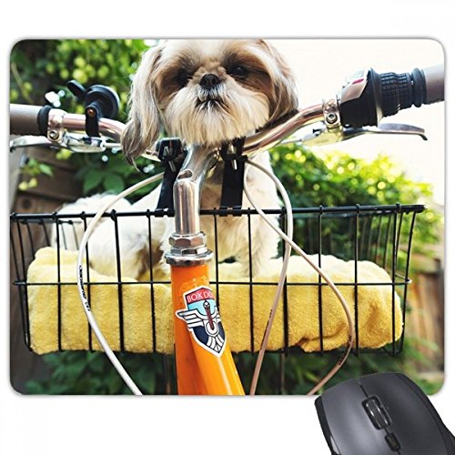 ybgƓ̂킢ʐ^ mXbvSpbh̃Q[}EXpbhv[g