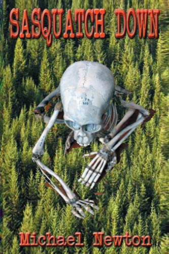 Sasquatch Down view 2