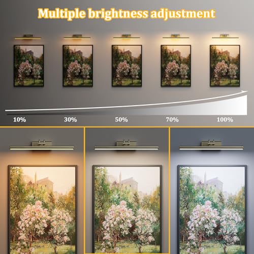 Image of Picture Light for Wall, Antique Brass, 13.8 inch, Remote Control | 4000mAh Cordless,Wall Light, Magnetic for Easy to Charge,Timers, Display for Gallery Living Room Bedroom