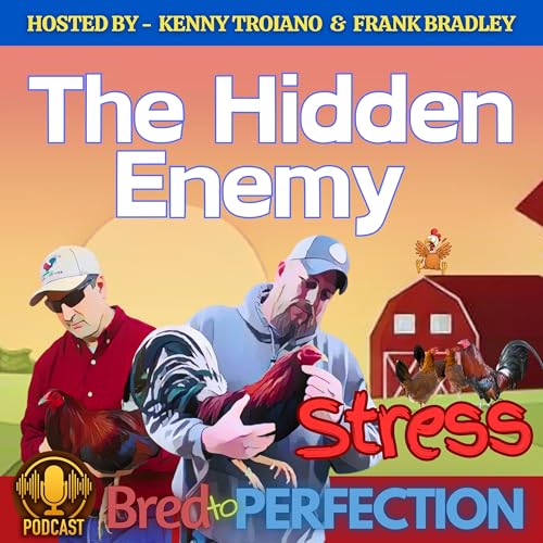 Ep277 - The Hidden Enemy - Understanding and Managing Stress in Our Fowl