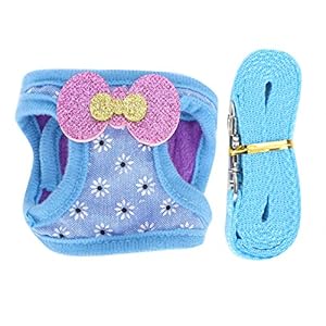 Huisdier Borstband Set, Huisdier Blauw Sneeuwvlok Patroon Buiten Wandelen Tractie Leash Kit Klein Dier Verstelbare…