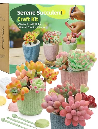 Microland Crafts for Teens Succulents Flower Making Kit Teen Crafts Air Dry Clay Kit for Girls 14-16 Adults Art Therapy Project DIY Creative Gifts for Women Teen Girls Artist Crafters Gifts for Mom