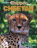  Chipper the Cheetah (True To Life Books Book 5) (English Edition)