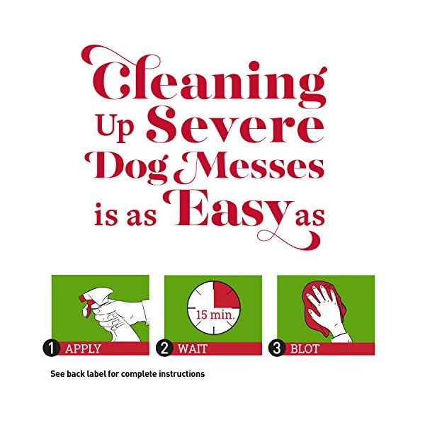 Nature’s Miracle Advanced Stain and Odor Eliminator Dog, For Severe Dog Messes, Sunny Lemon Scent – P-96987 Nature’s Miracle Advanced Stain and Odor Eliminator Dog, For Severe Dog Messes, Sunny Lemon Scent – P-96987