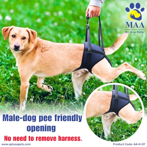 Image of A+a Pets' MAA' Male Dog Lift Support Harness for Hind /Back Legs | for Disabled Aged Injured Paralysed Arthritis (Navy, M)