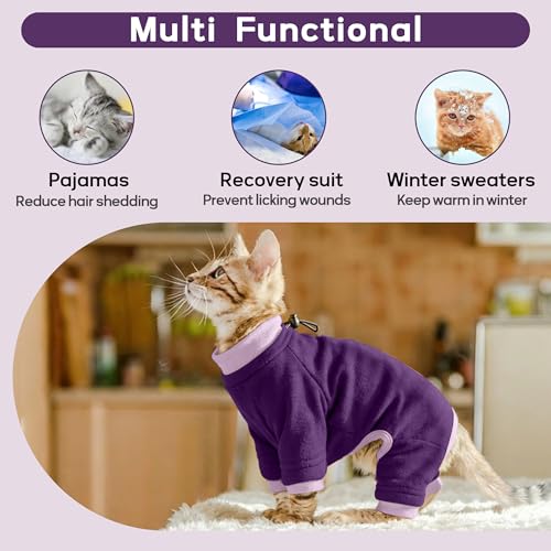 #1 Best Pumyporeity Cat Hair - Premium Pet Apparel Set - Image 6