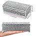 Hipiwe Vintage Metal Jewelry Box Trinket Storage Box Treasure Chest Case Ring Holder Necklace Earring Organizer Keepsake Box Wedding Birthday Gift for Women, Medium