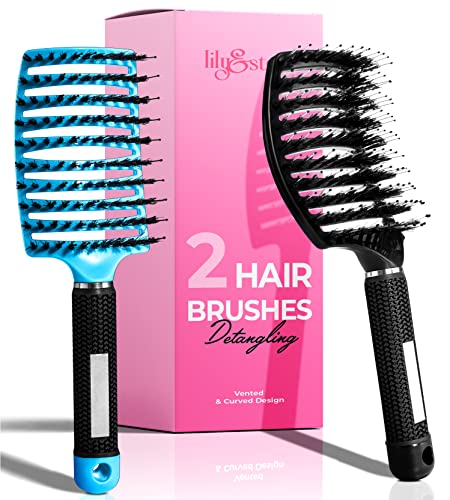 Hair Detangler Brush - Wet or Dry Detangling Brushes for Women, Men, and Children with All-Natural Boar & Nylon Bristles - Easily Detangles Long, Thick, Curly, or Coarse Hair without Pain or Tears…