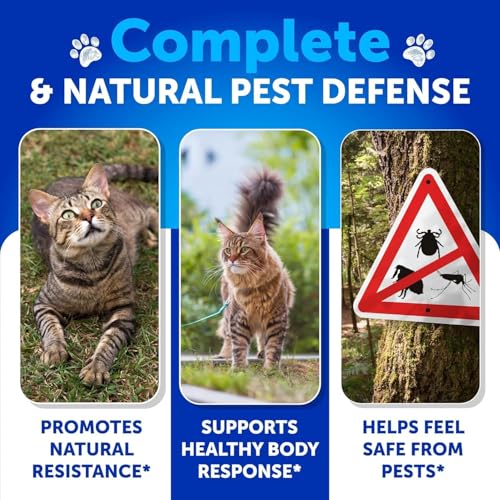 Flea Treatment for Cats - Natural Flea and Tick Prevention Supplement for Cats, Kittens - Chewable Daily Oral Pills with Vitamins - 135 Soft Chews - Dental Treats, Digestive Health, Immune Support - Image 4
