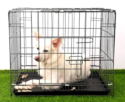 Image of RvPaws Dog Cage - Powder Coated, Double Door Folding Metal Cage /Crate /Kennel with Removable Tray and Paw Protector for Dogs, Cats and Rabbits (Black-Silver, 24 Inch)