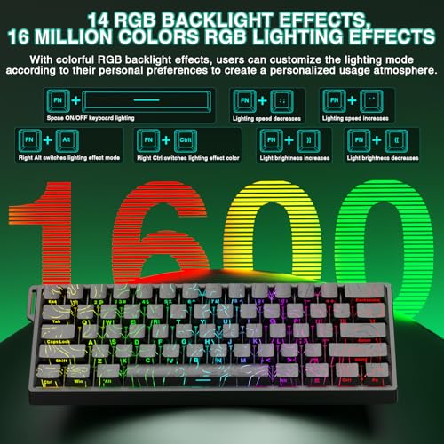 Image of Aula WIN60 HE - 60% Mechanical Gaming Keyboard Wired, Hall Effect Magnetic Switch Hot Swappable, Adjustable Actuation RT Mode, 8000 Hz Polling Rate, RGB Keyboard 60 Percent Compact Design for PC