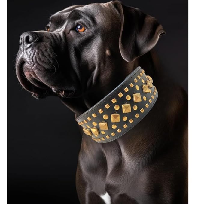 Dog Trust Spiked Studded Dog Collar Big Sharp Spike Dog Collars, Geniune Leather, Neck Protection from Bite, Adjustable, Fit Pitbull Doberman German Shepherd, for Medium Large Dogs 1 pcs (B0CTKKTLTV) Amazon Price History, Amazon Price Tracker