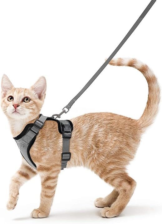 Xigwig Pets Cat Harness with Leash for Outdoor, Walking, Escape Proof, Air Mesh Fabric, Easy Control, Adjustable & Durable Cat Leash with Harness for Small Medium & Large Cats (Medium, Grey) (B0D9MB2YSH) Amazon Price History, Amazon Price Tracker