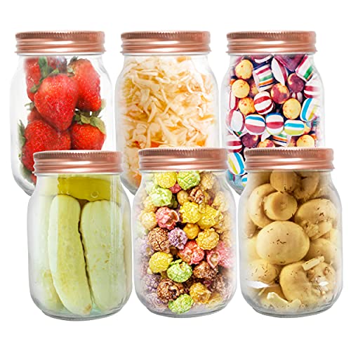 Regular Glass Mouth Mason Jars 6-set 16 Ounce Glass Jar with Rose Gold Airtight Lids for Canning, Sealing Candies , Fermenting, Food Prep, Drinking Glasses - Spices, Apple Cider Vinegar, Jam Containers