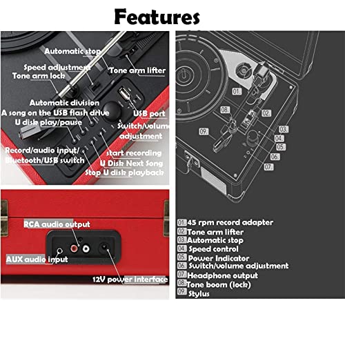 Tourne-Disque Portable avec Haut-parleurs, Prise en Charge de la Sortie Audio RCA et de l’entrée Audio AUX, Tourne-Disque avec SP Chaque Famille - Les Beatles, Paul McCartney, John Lennon, RIngo Starr, George Harrison Tourne-Disque Portable avec Haut-parleurs, Prise en Charge de la Sortie Audio RCA et de l'entrée Audio AUX, Tourne-Disque avec SP Chaque Famille – Image 3
