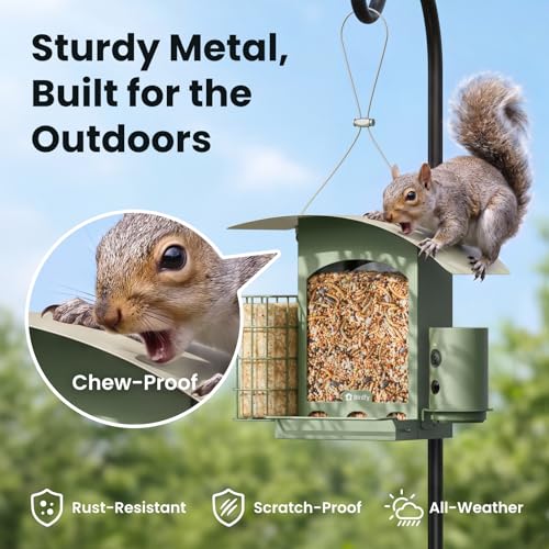 Image of Birdfy Smart Bird Feeder with Camera, Solar Powered, Gift for Bird Lovers