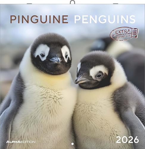 Alpha Edition - Pinguine Kalender 2026 – Broschürenkalender 30×30 cm (30×60 geöffnet) mit 12 Tiermotiven, Wandkalender mit Platz für Notizen, perfektes Geschenk für Tier- und Naturfreunde: Penguins