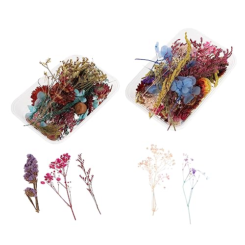 Flores secas naturales mini prensadas para manualidades x2 cajas