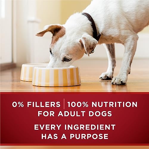 Purina ONE Tender Cuts True Instinct Wet Dog Food, in Gravy with Beef & Bison - 368 g Can (12 Pack) image 5