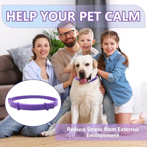 3 Pack Beruhigungshalsband für Hunde, Beruhigendes Pheromonen Halsband Verstellbares Beruhigende Halsbänder Lindert Angst Bei Anti Stress Lindern Sicher Wasserdicht für Kleine Mittelgroße Große Hund