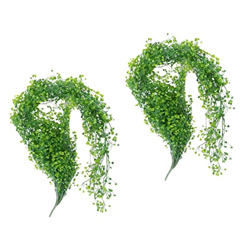 Hojas De Parra Lidl Me pica la curiosidad