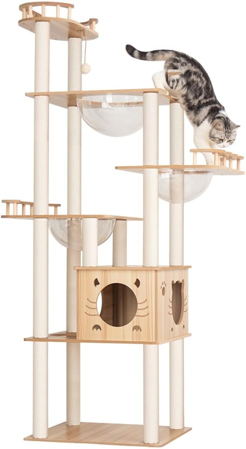 猫　激安！ Amazon.co.jp: PAWZ Road [在庫一掃] キャットホイール 猫 大型 静音