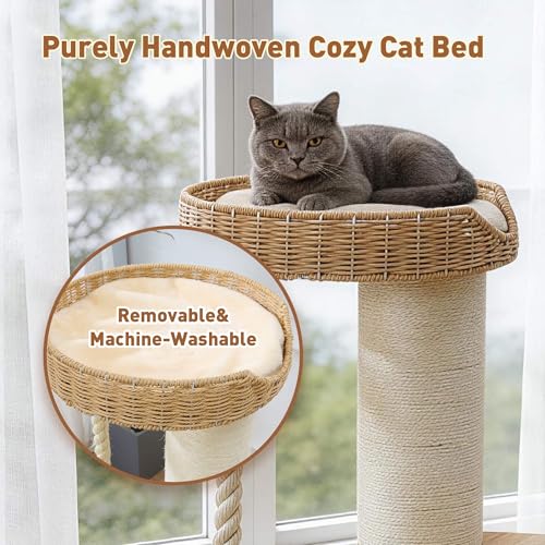 Árbol moderno para gatos grandes de madera sólida miniatura 4