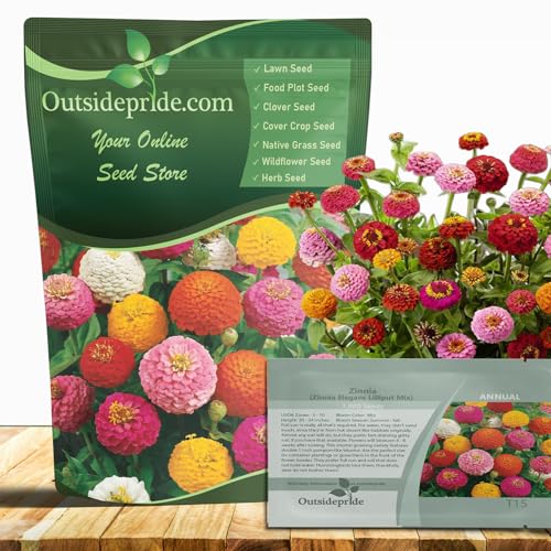 Outsidepride Zinnia Seeds - 1000 Pcs Annual Blend of Hardy Compact Mixed Color Ball-Shaped Blooms for Planting in Outdoor Containers, Borders, Flower Beds, Cutting Gardens & Pollinator-Friendly Spaces