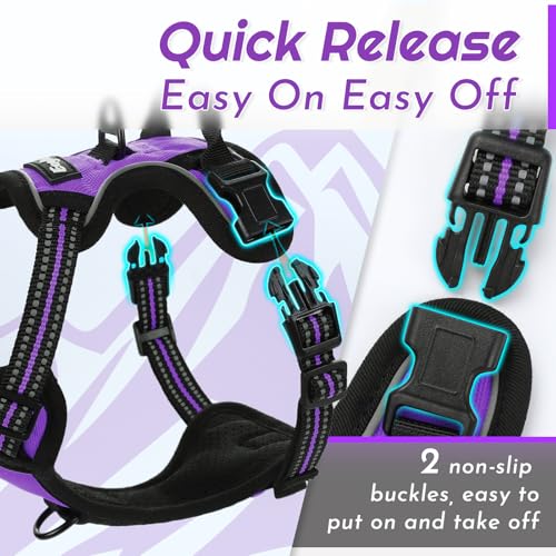 Image of Eagloo Dog Harness for Small Dogs, No Pull Pet Vest with 2 Leash Clips