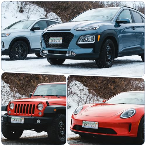 2PCS Clear License Plate Covers Transparent Flat Vehicle Tag Frame Protector with Screws & Caps 12.2 X 6.3 Inches Universal for Rv, Sedan, SUV