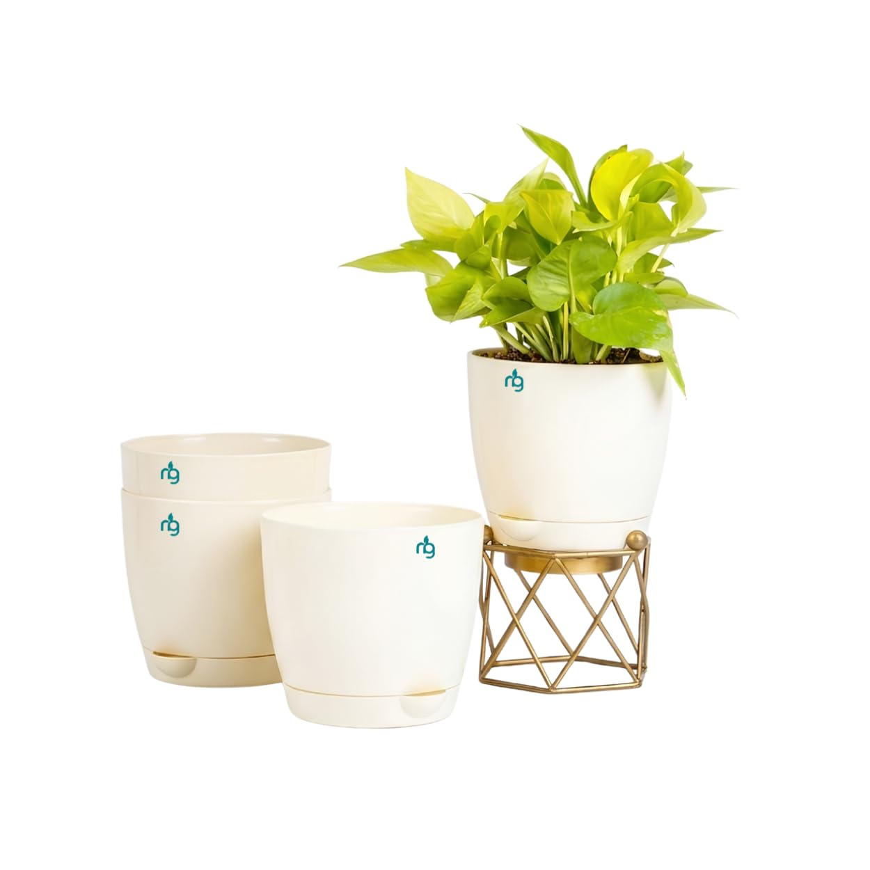 Nurturing Green® Combo of 4 Self Watering Flower Pots for Plants | Plastic Plant Pots | Planter Pots for Home, Indoor Living Room,Garden (Color: Ivory, Size: 11.5cm x 11cm Each)-image-38