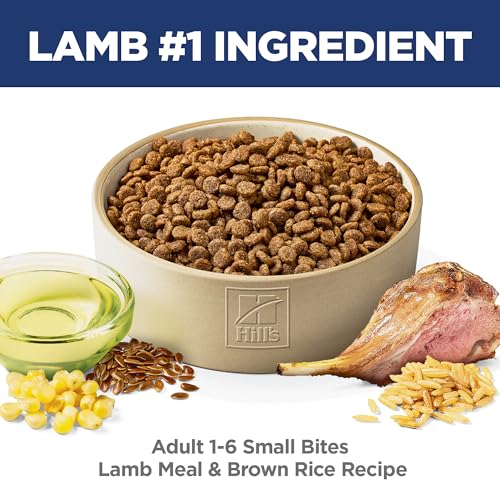 Image of Hill's Science Diet Adult 1-6 Small Bites Dry Dog Food, Lamb Meal & Brown Rice, 15.5 lb. Bag