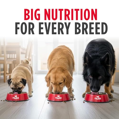 Image of Nulo Frontrunner Dry Dog Food - Adult High-Protein Chicken, Oats & Turkey Recipe, Natural Kibble with Ancient Grains, Probiotics, Taurine, Omega 3 for Small, Medium and Large Breeds, 5lb Bag