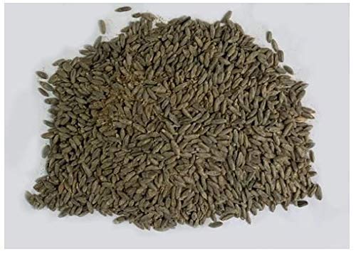 Miniatura 5 de North Georgia Still Company Kit de fermentación para Moonshine, Hopi Blue Corn y whisky de centeno malteado, kit de puré de 5 galones de bricolaje