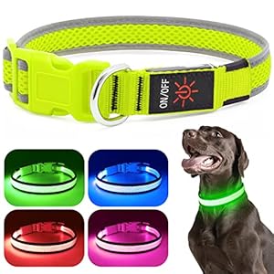 LED Dog Collar, USB Rechargeable Light Up Dog Collar Lights, Adjustable Comfortable Soft Mesh Safety Dog Collar for Small, Medium, Large Dogs(Large, Neon Green)
