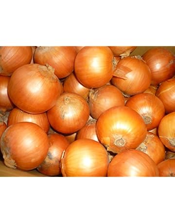 Amazon Co Jp たまねぎ 野菜 食品 飲料 お酒 Amazon Co Jp たまねぎ 野菜 食品 飲料 お酒