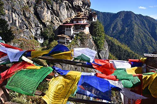 100% Cotton Healing Lama Original Tibetan Wind Horse Prayer Flags. 50 Authentic Buddhist Flags Blessed by a Lama. (Pack of 50 Flags(6.5"X6.5")