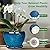 Ceramic Modern Glaze Succulent Planter Pot with Drainage Hole and Saucer 6 Inch Round Flower Plant Pot for Indoor Outdoor Herb Snake Plants