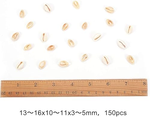 Miniatura 2 de Cuentas de concha, Concha