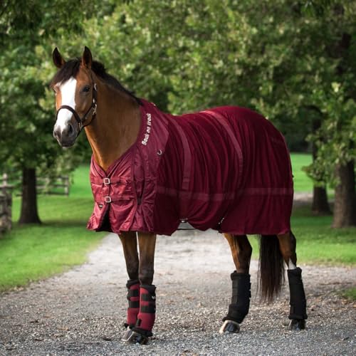 Image of Back on Track Mesh Sheet 84 Burgundy