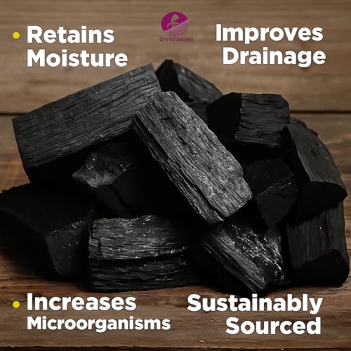 Image of Divayanshi Premium Charcoal Briquettes | All-Natural Long-Lasting BBQ Charcoal for Grilling & Cooking | Includes Fire Starter Cubes | Outdoor Foldable Barbecue Grill for Camping & Picnics (10 kg)