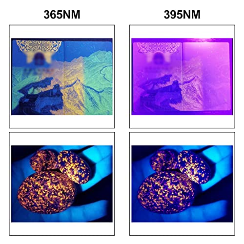 Eowco Uv Light Flashlight 365Nm & 395Nm, Small Black Light Ultraviolet Flashlights, Handheld Zoomable Blacklight Torch Woods Lamp, Detector For Pet Urine Dry Stains, Rocks, Scorpions, Hotel Inspection #TOP3